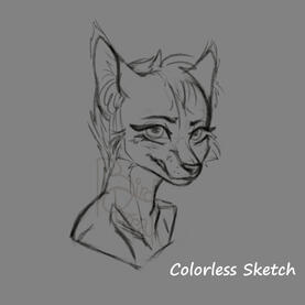 Colorless Sketch Example
